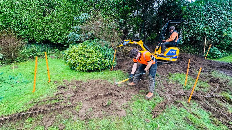 Bamboo Removal Specialists Devon