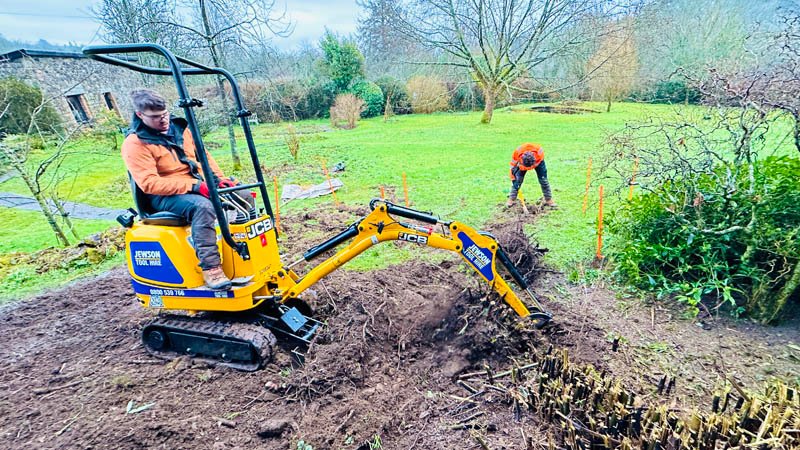 Devon Bamboo Removal